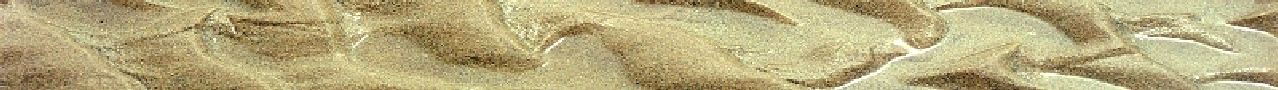 wp36a4dccb.png